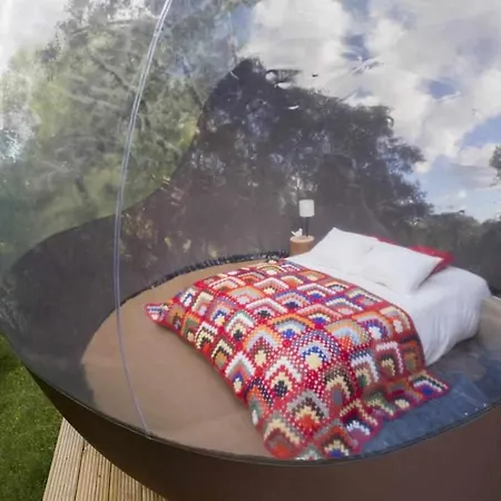 Moinho Do Maneio * ペナマコル