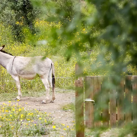 Casa de Campo Moinho Do Maneio Penamacor