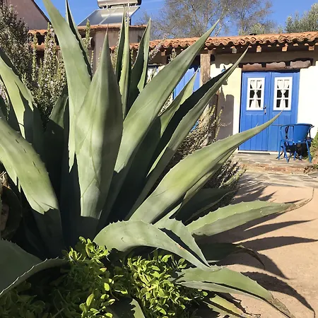 Moinho Do Maneio * ペナマコル