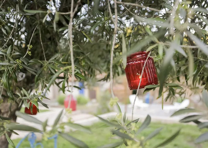 Moinho Do Maneio Casa de Campo Penamacor