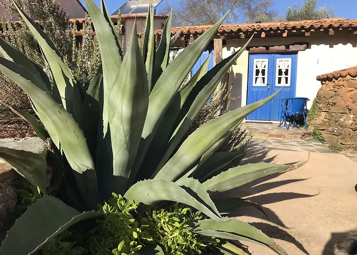 Moinho Do Maneio * Penamacor